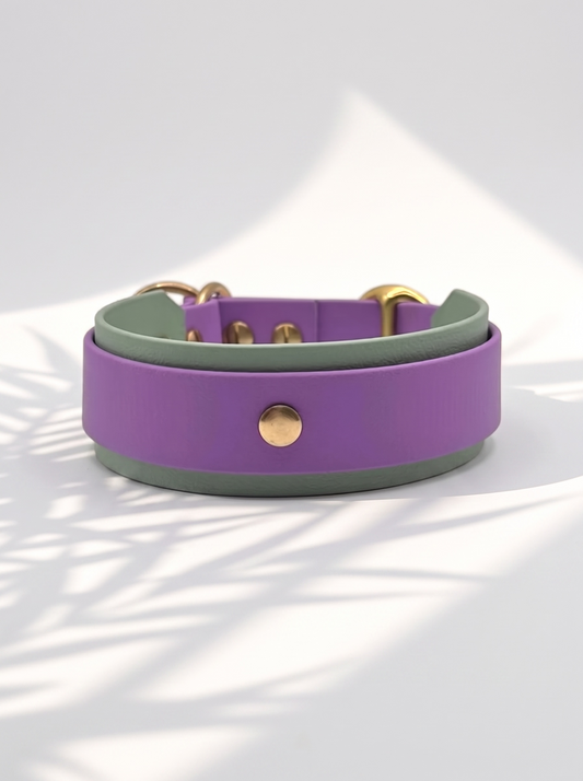 Hundehalsband und Hundeleine aus BioThane in den Farben Lila und grün. Handgefertigt und individuell anpassbar für alle Hunde. Halsband von hinten