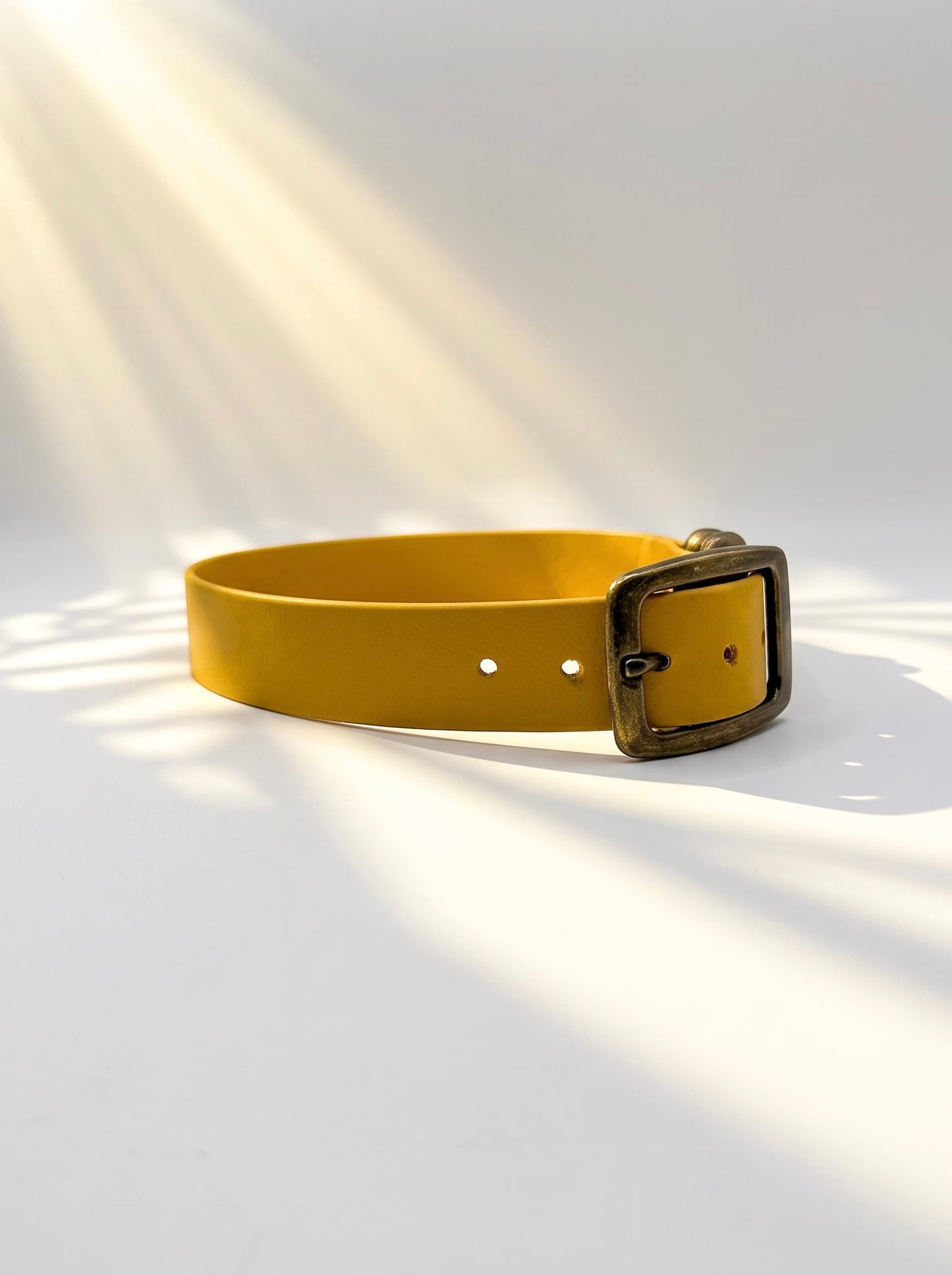 BioThane Halsband in Senf Gelb Minimal. Handgefertigt und individuell anpassbar. Beschläge personalisierbar. Verstellbares Halsband. Ansicht des Halsbandes von der Seite