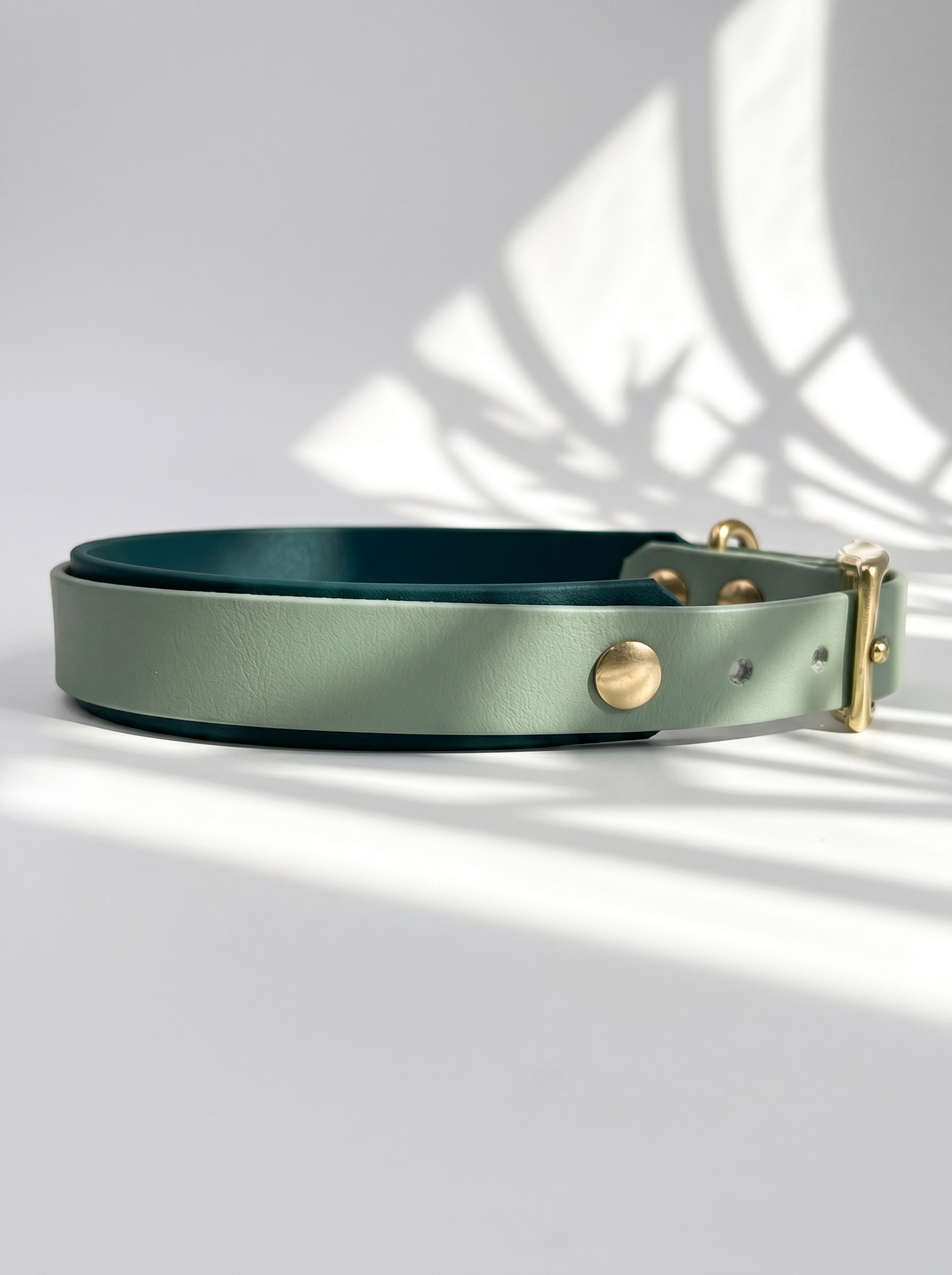 Hundeset aus BioThane Leine und Halsband in dunkel und hellgrün. Anpassbare Länge, Breite und Beschläge. Ansicht des Halsbandes von der Seite mit weißen Hintergrund