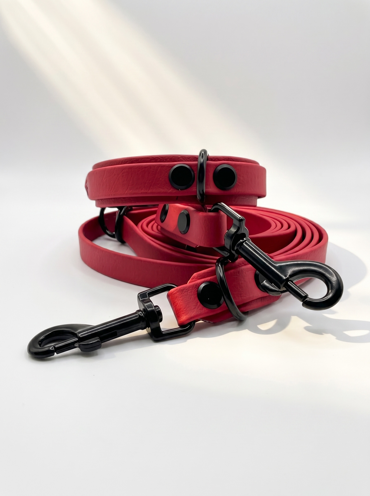 LINEA BioThane Halsband und Leine in Rot mit schwarzen Beschlägen. Handgefertigt und Personalisierbar. Ansicht Set von vorne