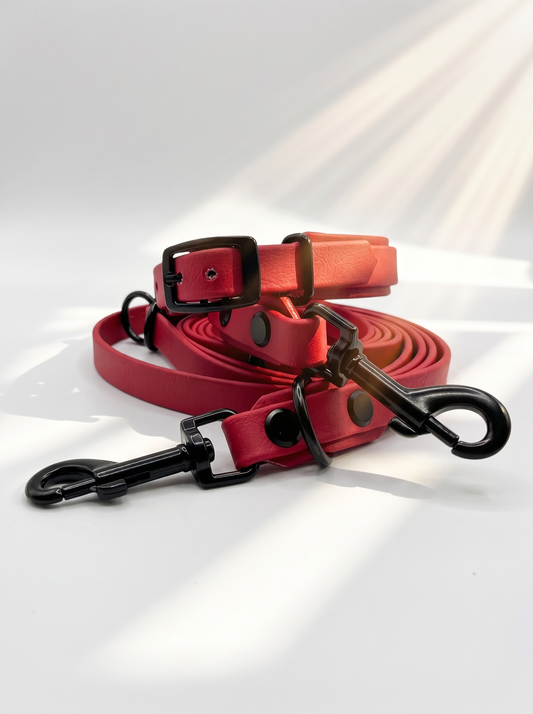 LINEA BioThane Halsband und Leine in Rot mit schwarzen Beschlägen. Handgefertigt und Personalisierbar. Ansicht set von hinten