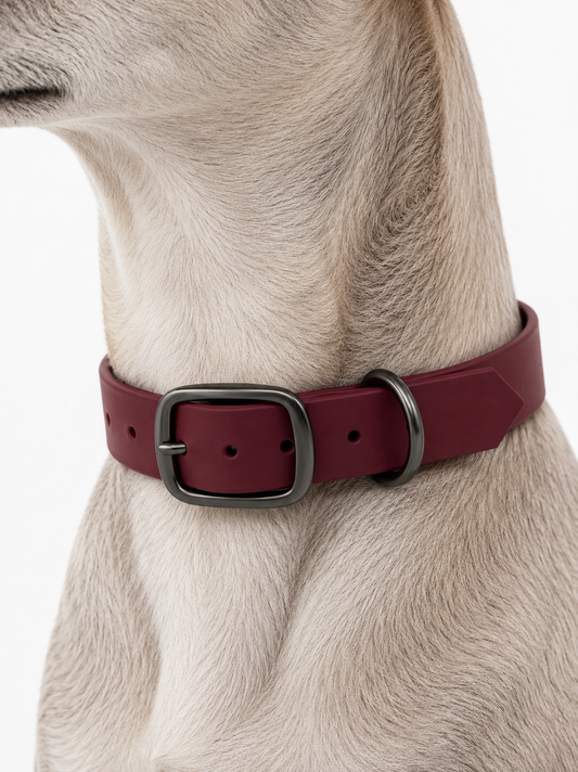 Hund mit biothane Halsband in Crimson rot. Hundehalsband mit Doppelstegschnalle zum verstellen. Handgemacht und individuell anpassbar