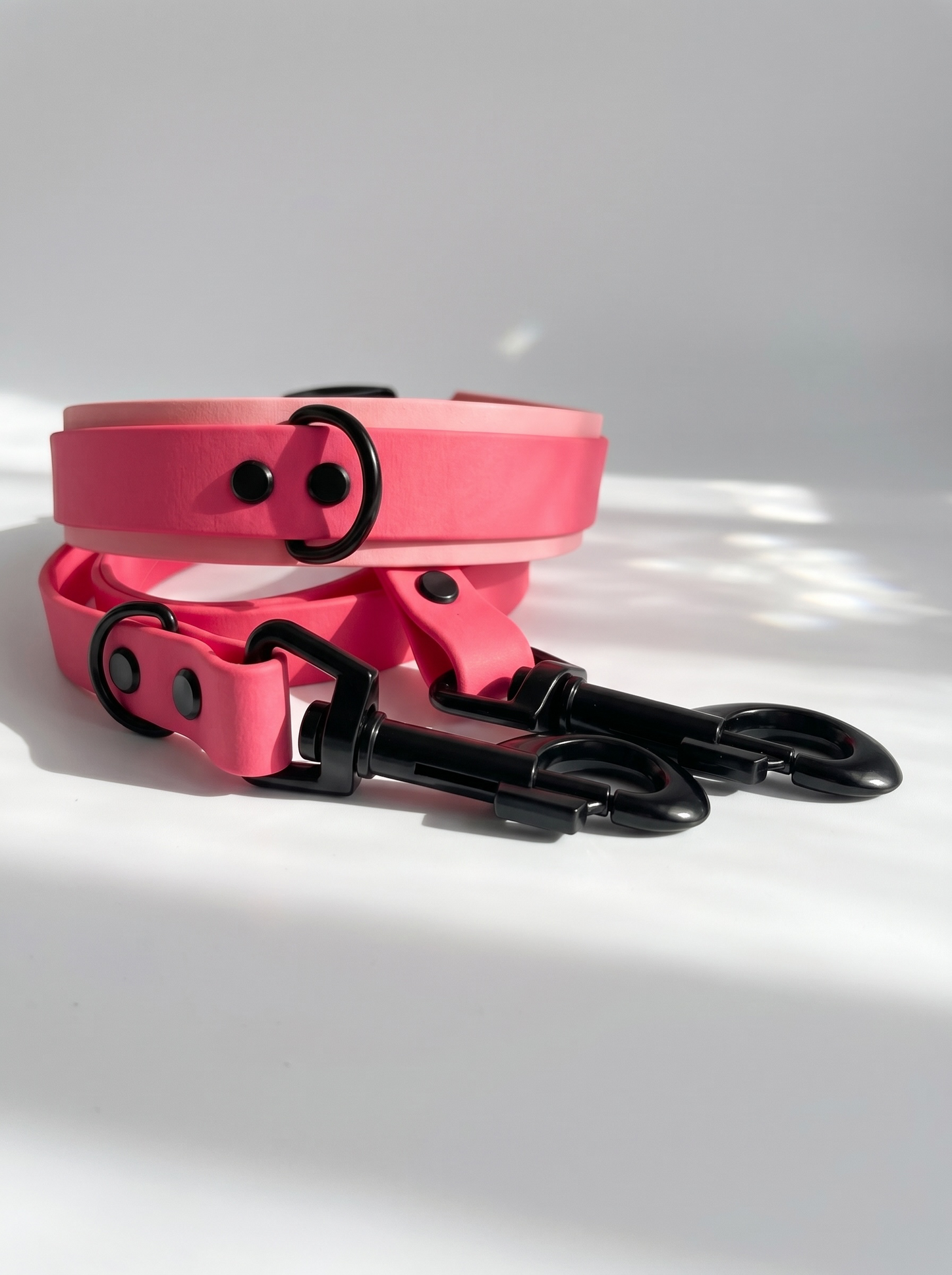 Hundehalsband und Hundeleine aus BioThane in rosa und pink. Handgemacht und Personalisierbar in Länge, Breite und Farbe. Geeignet für kleine, mittlere und große Hunde. Ansicht: Set hinten