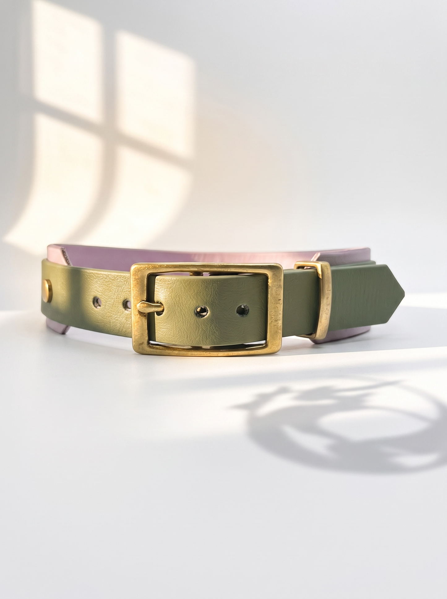 Hundehalsband aus BioThane in lila und grün. Beschläge aus Gold Messing. Anpassbar und handgefertigt. Ansicht von vorne