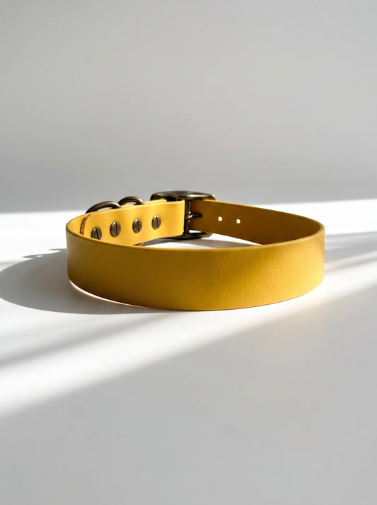 BioThane Halsband in Senf Gelb Minimal. Handgefertigt und individuell anpassbar. Beschläge personalisierbar. Verstellbares Halsband. Rückansicht