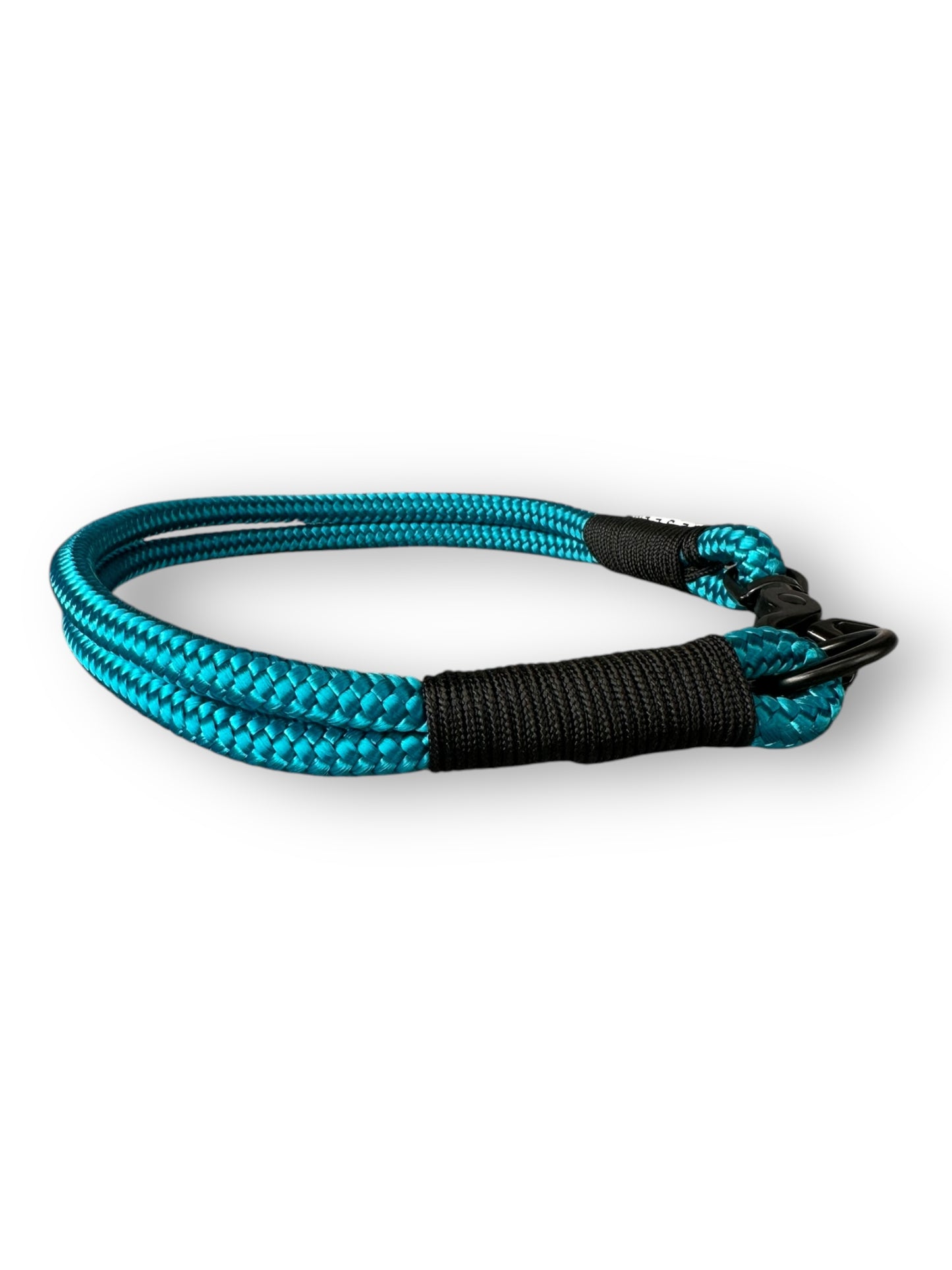 Hundehalsband in Aqua mit schwarz Farben Details in 10mm - Seite