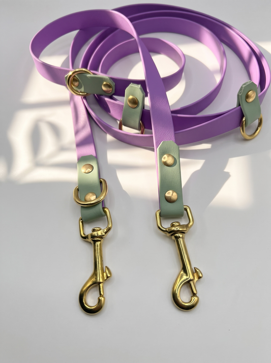 Hundehalsband und Hundeleine aus BioThane in den Farben Lila und grün. Handgefertigt und individuell anpassbar für alle Hunde. Leine Bolzenkarabiner