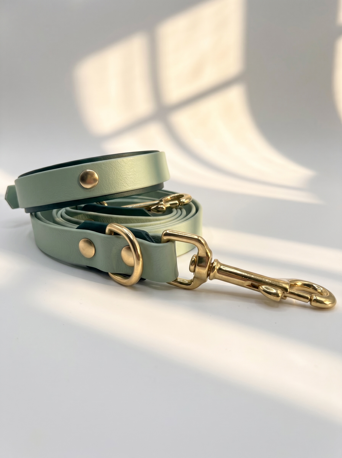 Hundeset aus BioThane Leine und Halsband in dunkel und hellgrün. Anpassbare Länge, Breite und Beschläge. Ansicht des Sets von hinten mit weißen Hintergrund