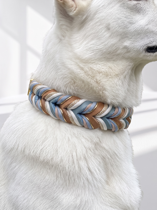 Lederhalsband geflochten getragen von einem weisen Hund. Fettleder in braun und blau. Flechtdetails ins weiß Eis blau und Gold. Handgefertigt und individuell anpassbar