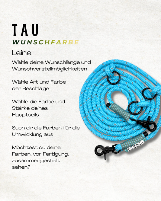 Reflektierende Hundeleine aus Tau in deiner Wunschfarbe. Stell dir deine Leine, Halsband oder Set zusammen. Perfekt für die dunkle Jahreszeit mit Reflektoren