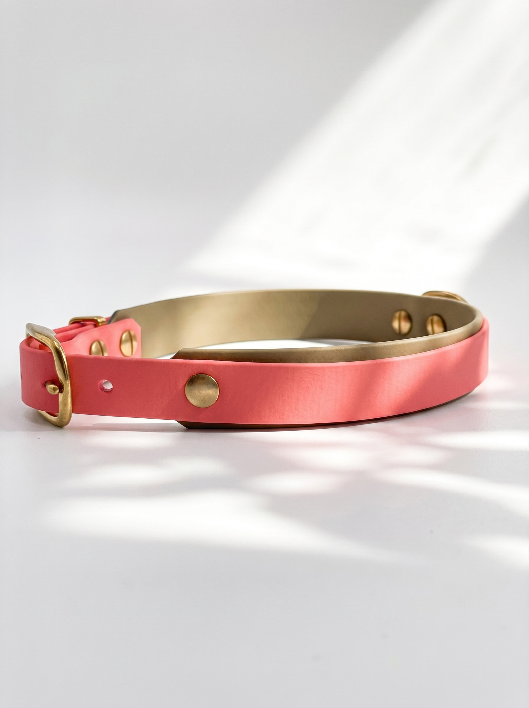 Hundeset bestehend aus Leine und Halsband aus BioThane. In den Farben Coral und Beige. Geeignet für kleine, mittlere und große Hunde, da unsere Artikel a die Größe und das Gewicht deines Hundes angepasst werden. biothane ist geeignet für jedes Wetter. Ansicht Seite des Halsbandes mit verstellmöglichkeiten 