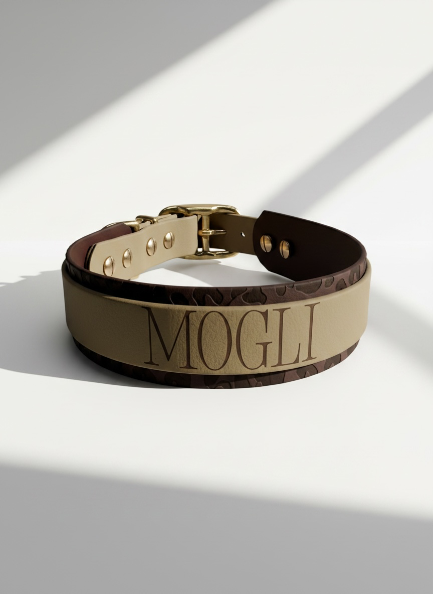 Hundehalsband aus BioThane mit Namensgravur. Personalisierbar mit Leo-Details handgemacht. Ansicht: Details hinten Gravur 