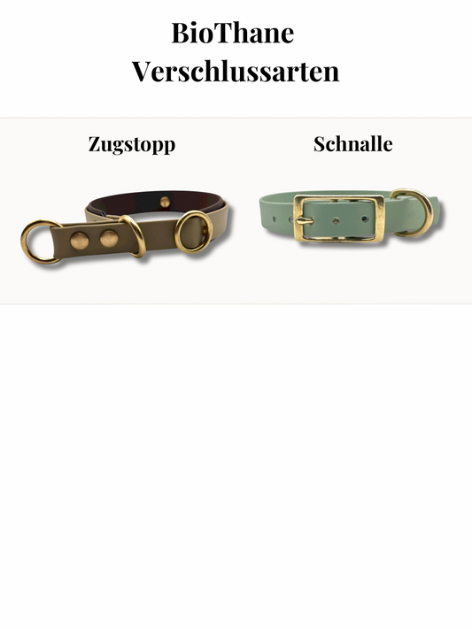 Info zu Zugstopp oder schnallenverschluss beim BioThane Halsband 