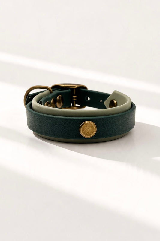 BioThane Hundehalsband und Hundeleine in Dunkelgrün und Foggy Grün. Handgefertigt und personalisierbar in Größe und Breite. Rückansicht Halsband 