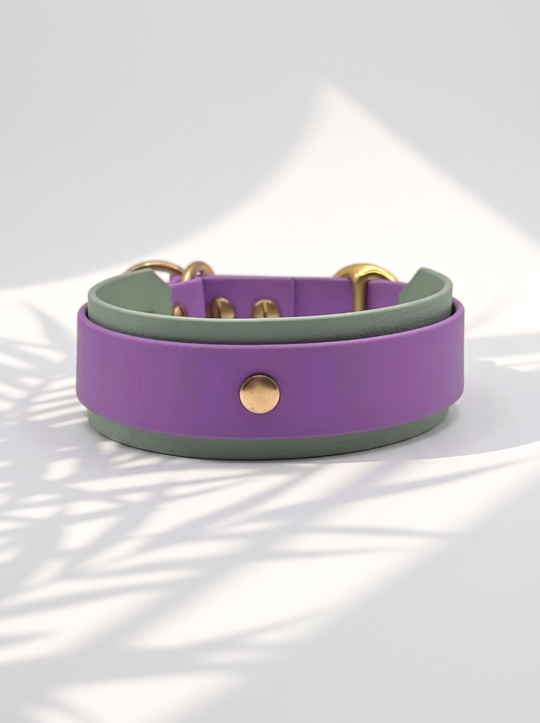 Hundehalsband und Hundeleine aus BioThane in den Farben Lila und grün. Handgefertigt und individuell anpassbar für alle Hunde. Halsband von hinten 