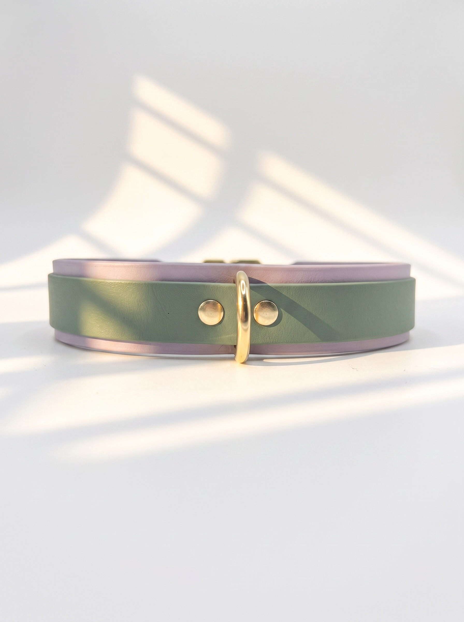 Hundehalsband aus BioThane in lila und grün. Beschläge aus Gold Messing. Anpassbar und handgefertigt 