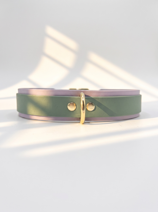Hundehalsband aus BioThane in lila und grün. Beschläge aus Gold Messing. Anpassbar und handgefertigt 
