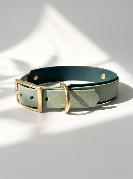 Hundeset aus BioThane Leine und Halsband in dunkel und hellgrün. Anpassbare Länge, Breite und Beschläge. Ansicht des Halsbandes von oben mit weißen Hintergrund 