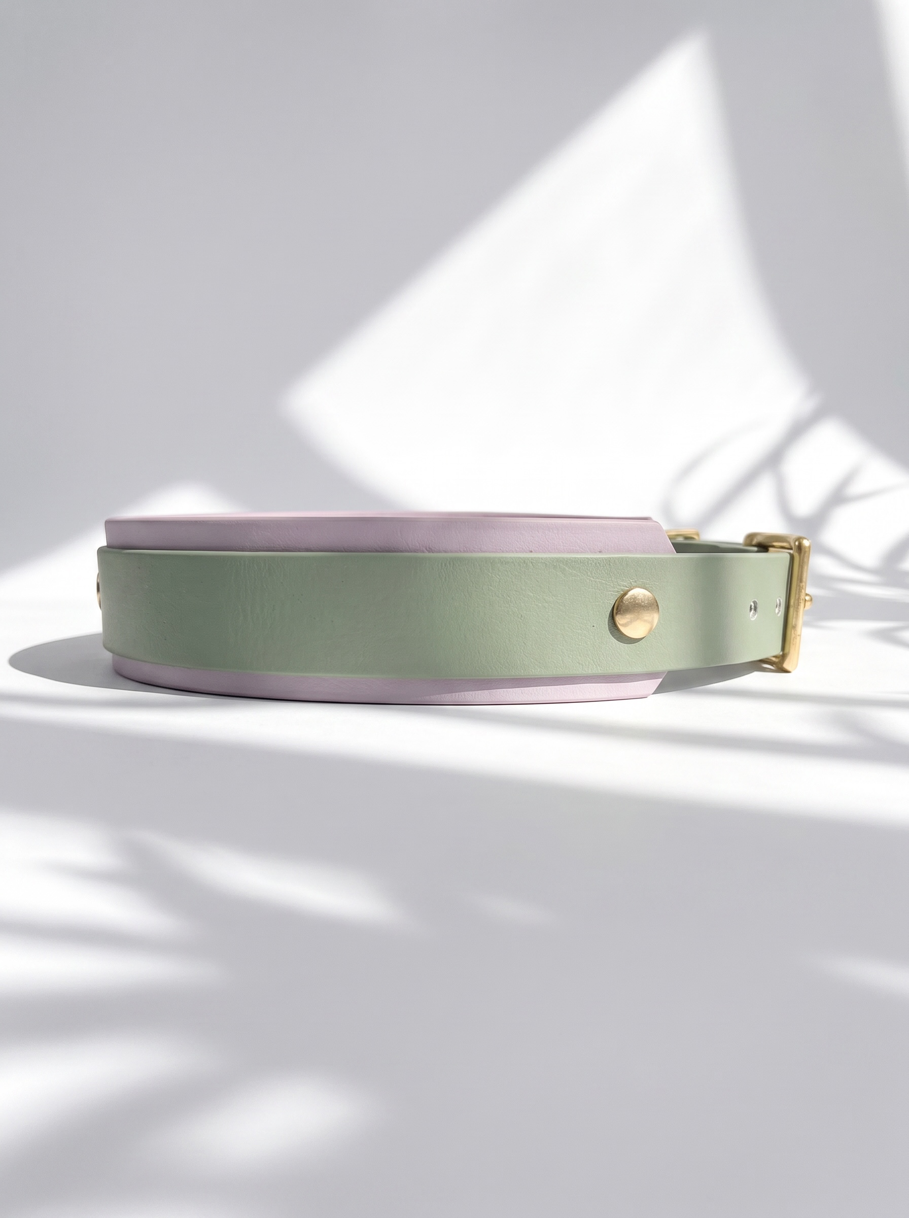 Hundehalsband aus BioThane in lila und grün. Beschläge aus Gold Messing. Anpassbar und handgefertigt. Ansicht von der Seite 