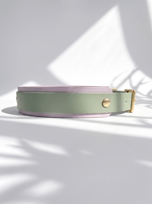 Hundehalsband aus BioThane in lila und grün. Beschläge aus Gold Messing. Anpassbar und handgefertigt. Ansicht von der Seite 