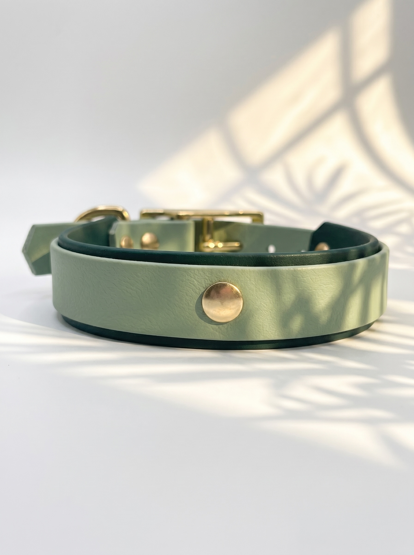 Hundeset aus BioThane Leine und Halsband in dunkel und hellgrün. Anpassbare Länge, Breite und Beschläge. Ansicht des Halsbandes von hinten mit weißen Hintergrund 