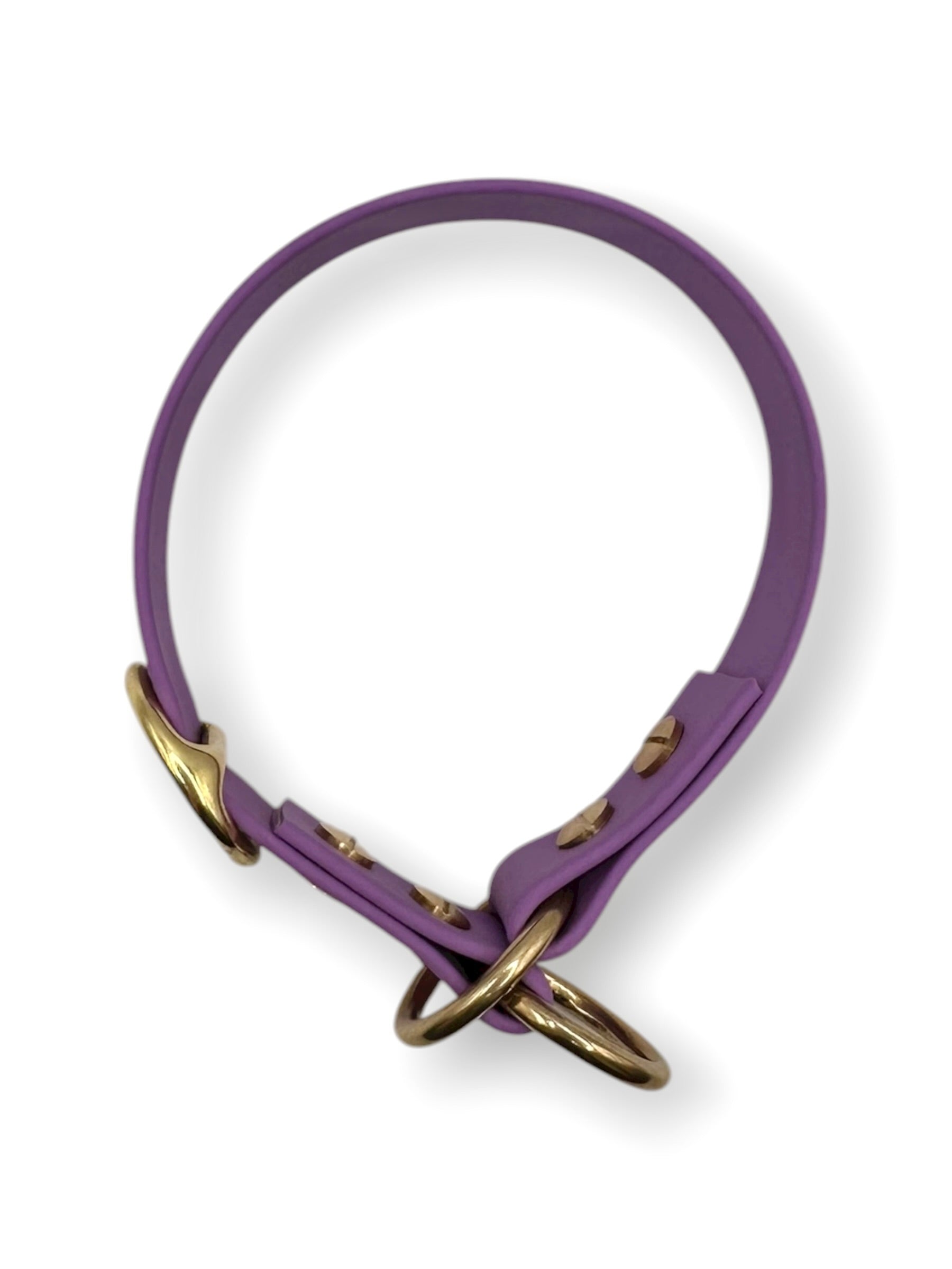 BioThane Hundehalsband in lila mit goldene Zugstopp Perfekt für schlechtes Wetter