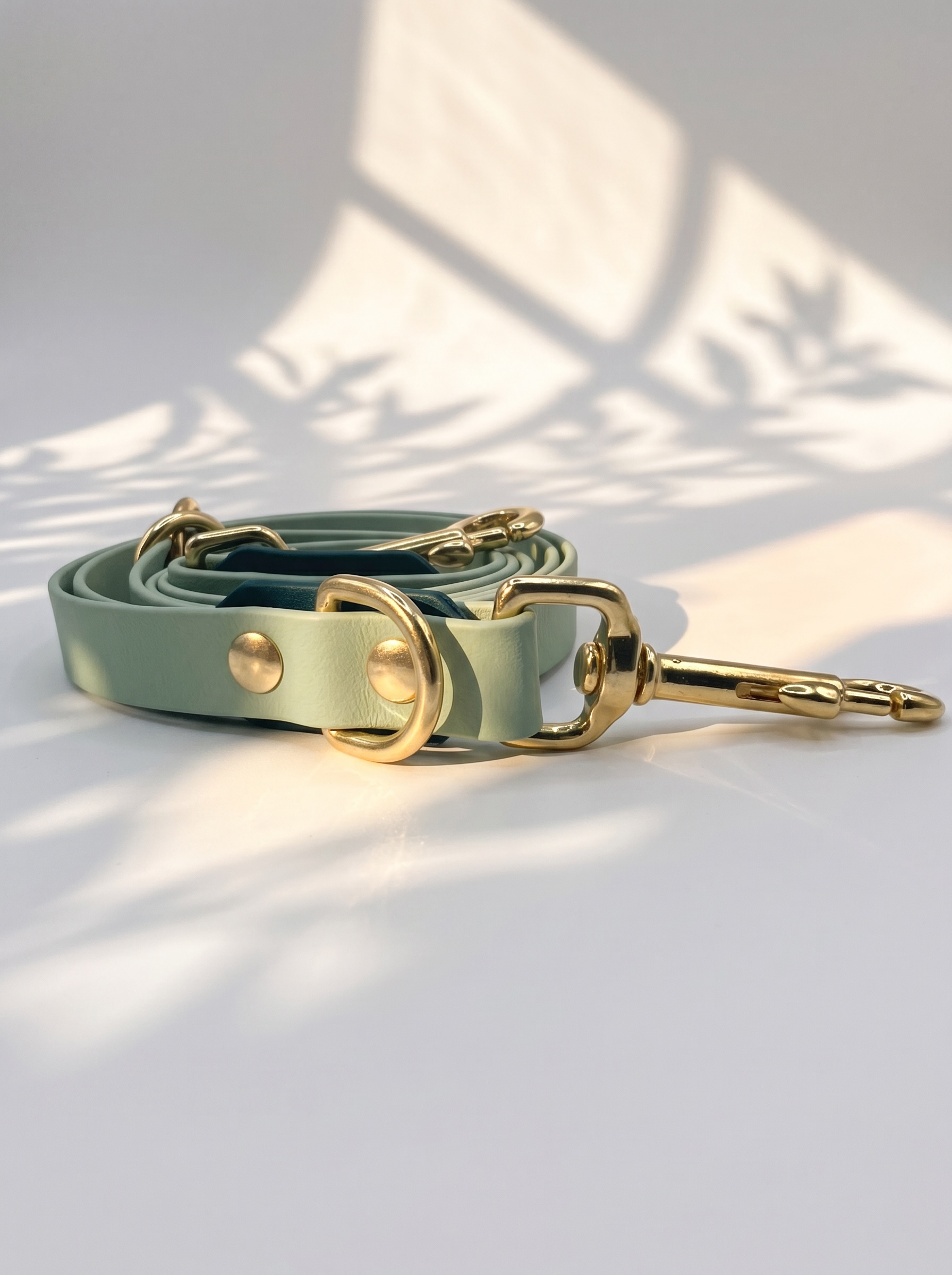Hundeset aus BioThane Leine und Halsband in dunkel und hellgrün. Anpassbare Länge, Breite und Beschläge. Ansicht der Leine von oben mit weißen Hintergrund 