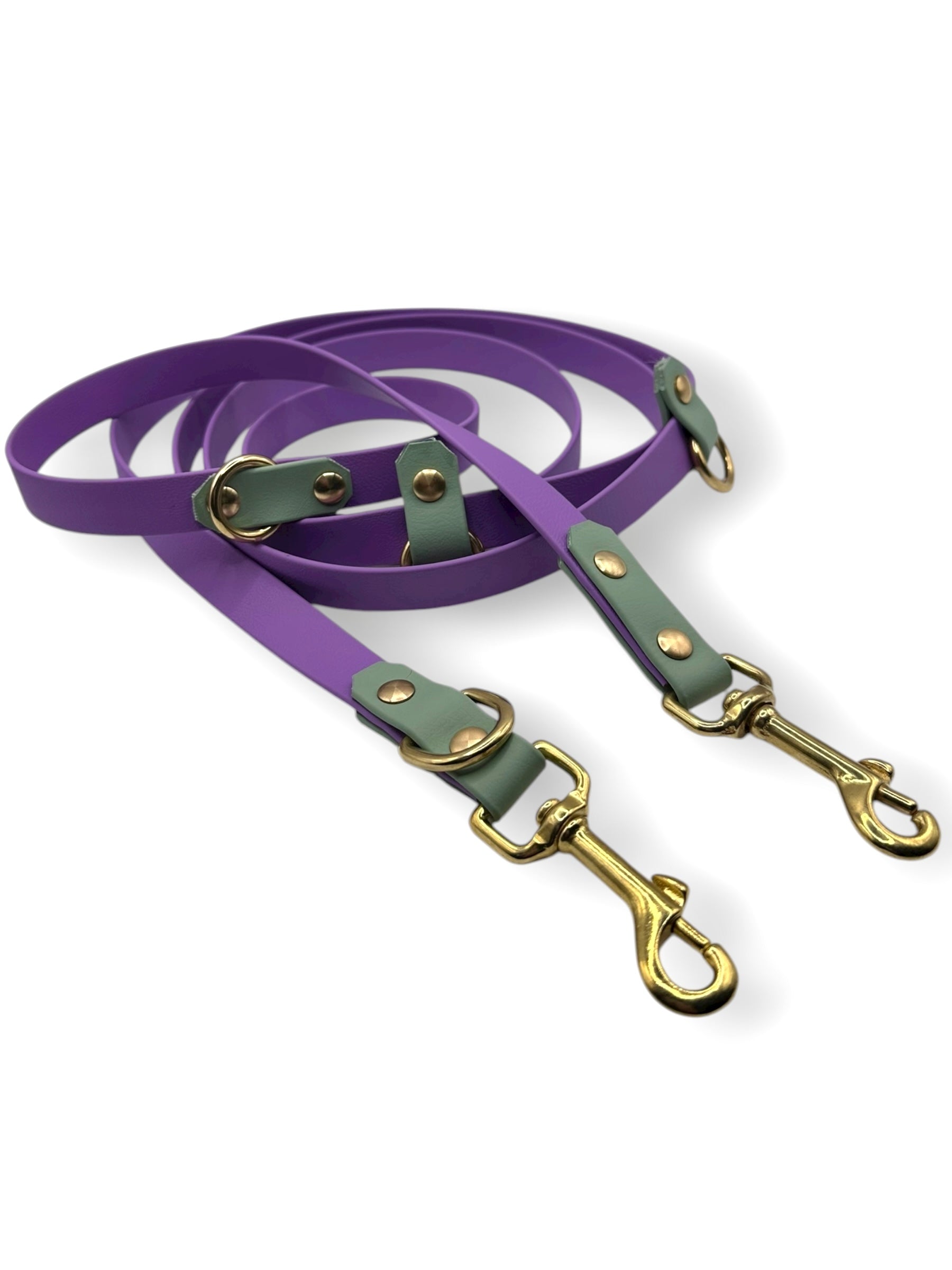 BioThane Hundeleine  in den Farben grün und lila. Goldene Beschläge für herbstliches Wetter.