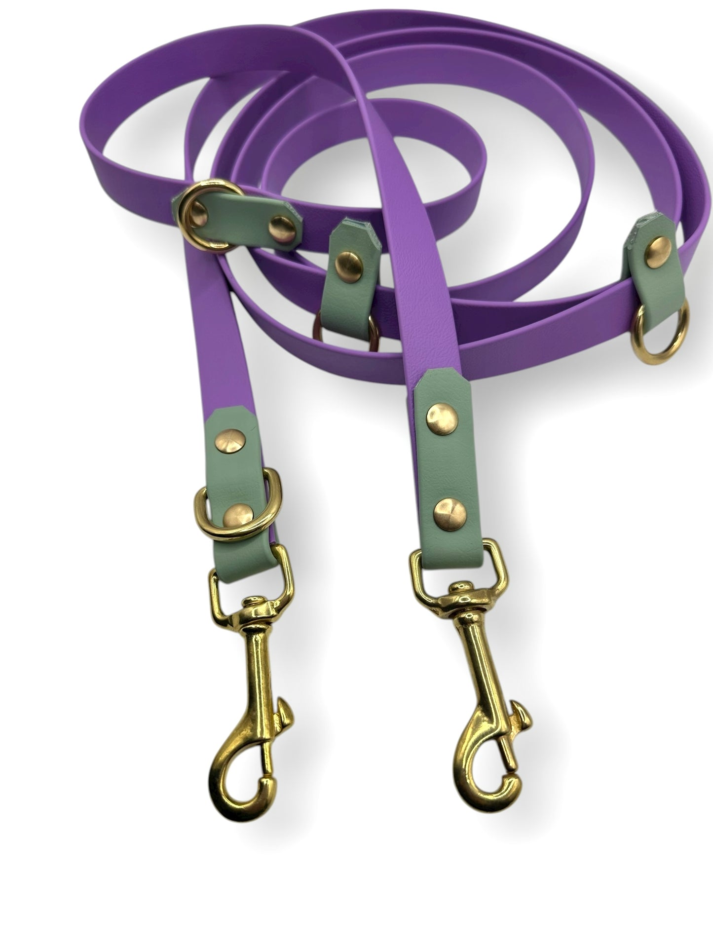 BioThane Hundeleine  in den Farben grün und lila. Goldene Beschläge für herbstliches Wetter.