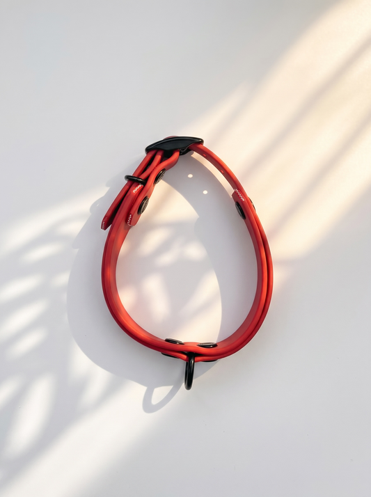 LINEA BioThane Halsband und Leine in Rot mit schwarzen Beschlägen. Handgefertigt und Personalisierbar. Ansicht Halsband Draufsicht 