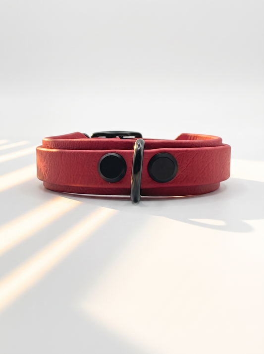 LINEA BioThane Halsband und Leine in Rot mit schwarzen Beschlägen. Handgefertigt und Personalisierbar. Ansicht Halsband von hinten 