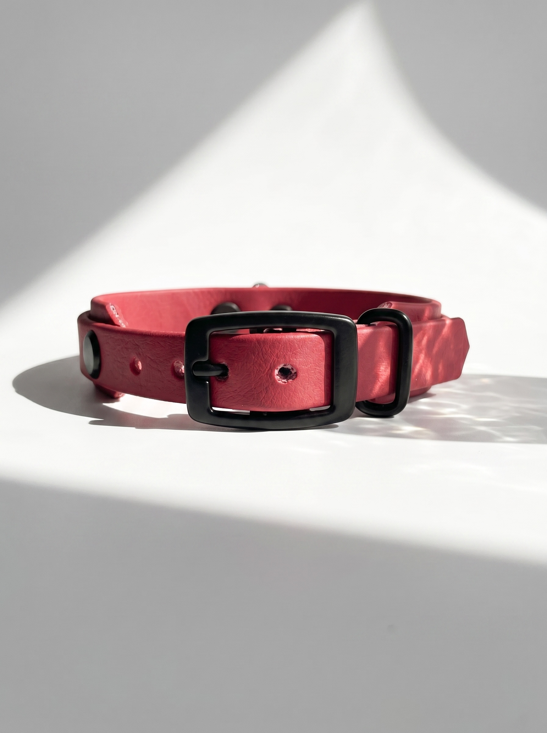 LINEA BioThane Halsband und Leine in Rot mit schwarzen Beschlägen. Handgefertigt und Personalisierbar. Ansicht Halsband vorne