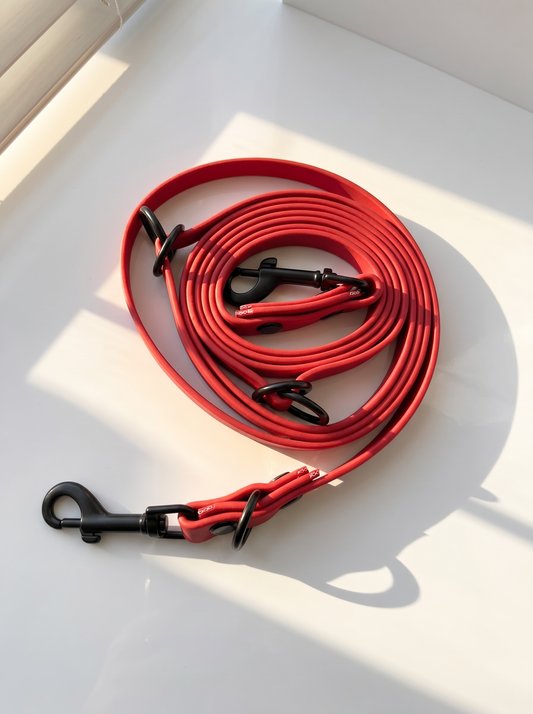 LINEA BioThane Halsband und Leine in Rot mit schwarzen Beschlägen. Handgefertigt und Personalisierbar. Ansicht leine Draufsicht 