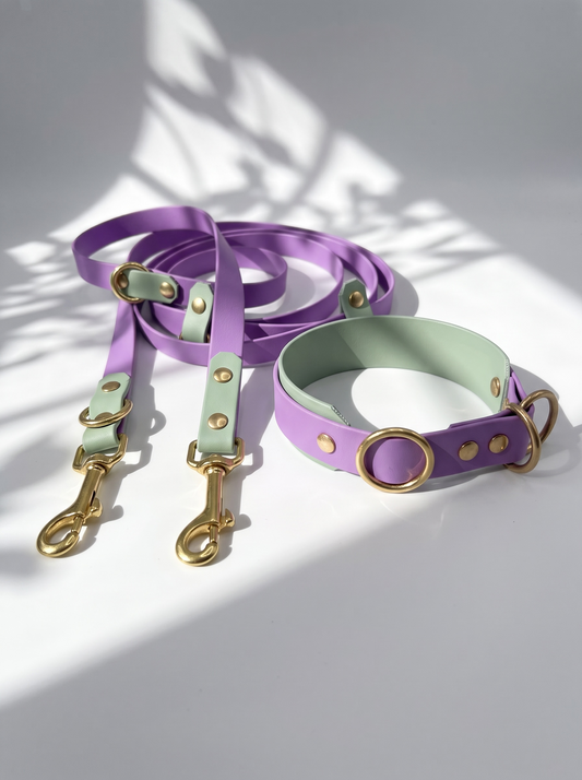 Hundehalsband und Hundeleine aus BioThane in den Farben Lila und grün. Handgefertigt und individuell anpassbar für alle Hunde. 
