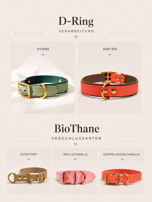 Übersicht der BioThane Verschlussarten Zugstopp, Rollschnalle und Doppelstegschnalle sowie D-Ring Verarbeitung vorne und hinten an einem personalisierbaren BioThane Hundehalsband von WunschKnotenAtelier.