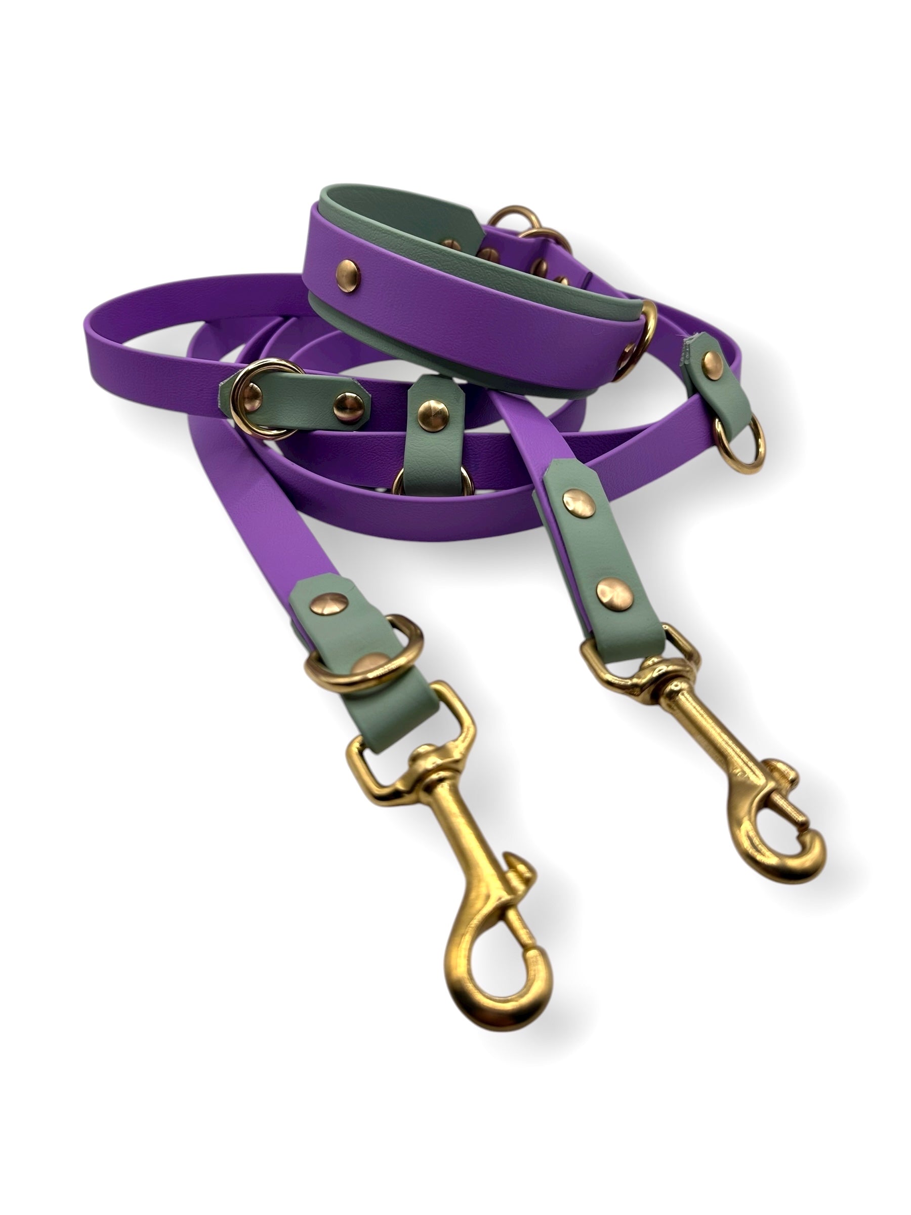 BioThane set aus Halsband und Leine in lila und grün 