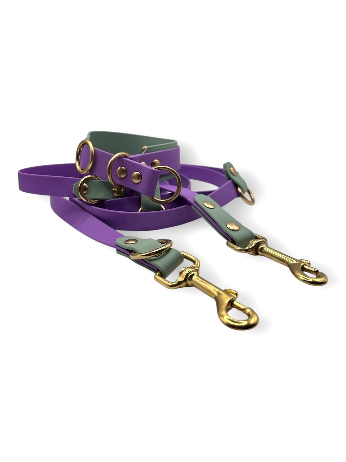 BioThane set aus Halsband und Leine in lila und grün 