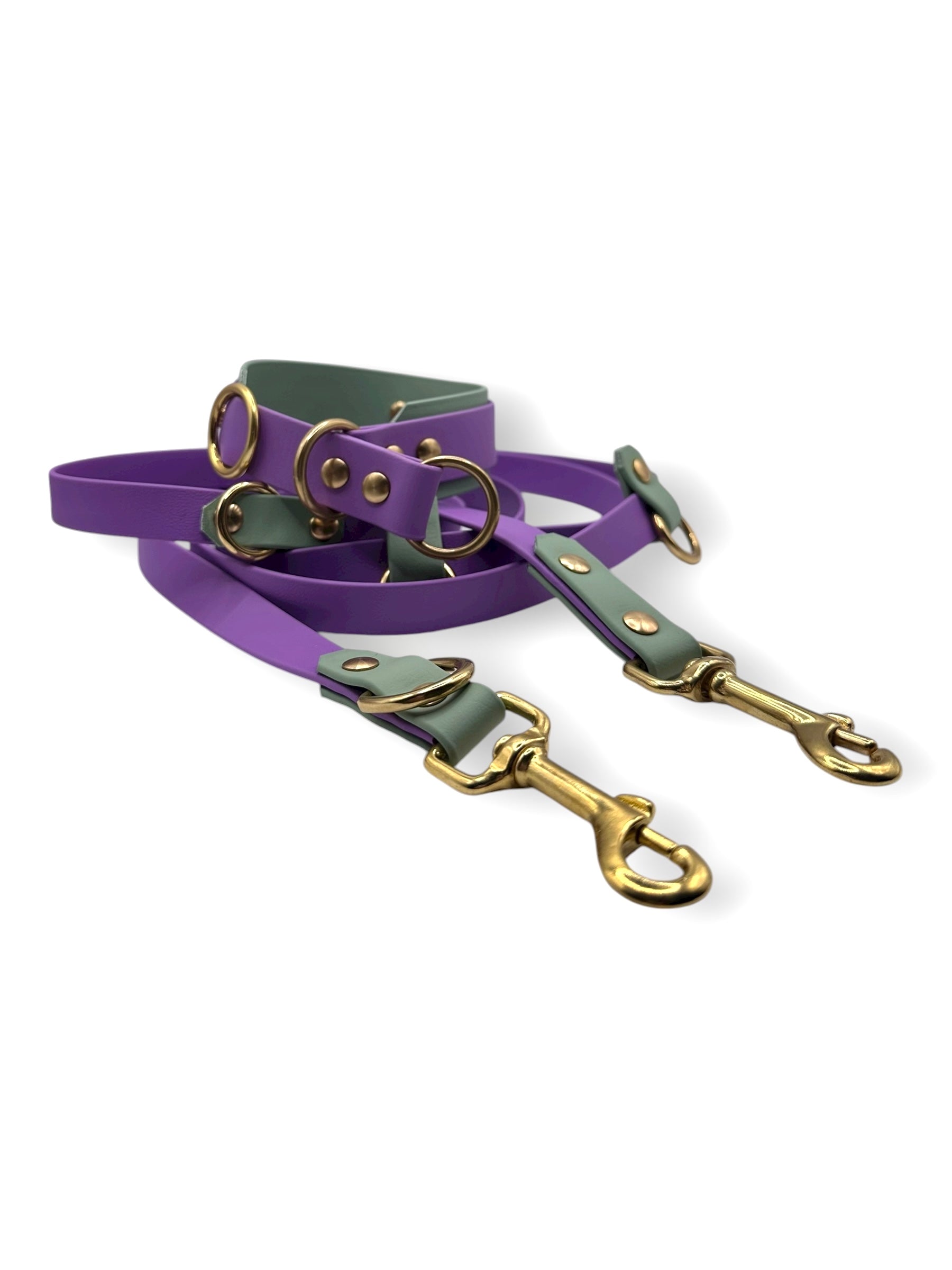 BioThane set aus Halsband und Leine in lila und grün 