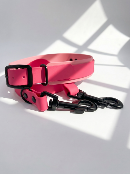 Hundehalsband und Hundeleine aus BioThane in rosa und pink. Handgemacht und Personalisierbar in Länge, Breite und Farbe. Geeignet für kleine, mittlere und große Hunde. Ansicht: Set vorne 