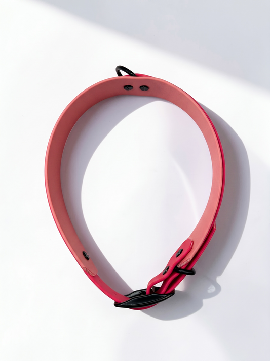 Hundehalsband und Hundeleine aus BioThane in rosa und pink. Handgemacht und Personalisierbar in Länge, Breite und Farbe. Geeignet für kleine, mittlere und große Hunde. Ansicht: Draufsicht 