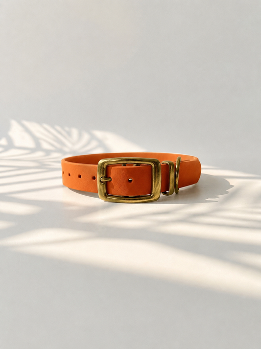 Hundehalsband aus BioThane in der Farbe burnt Orange mit antik goldenen Beschlägen. Verstellbares handgefertigtes Halsband mit Doppelstegschnalle 