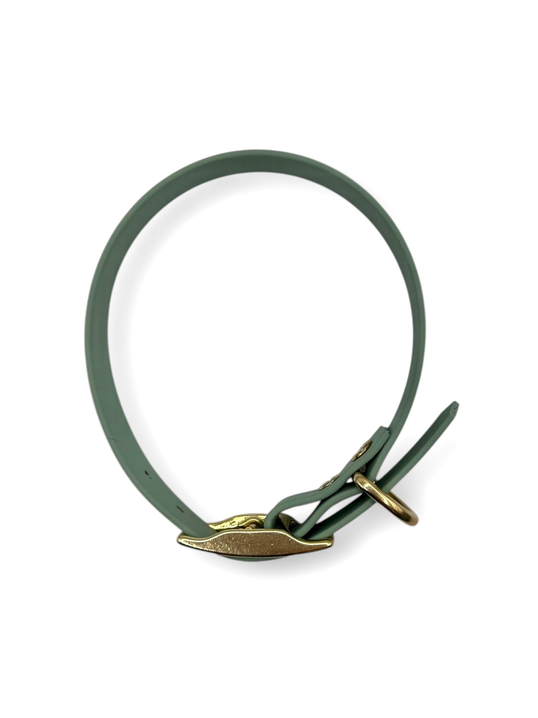 BioThane Halsband in foggy grün in verschiedenen Breiten mit goldenen Details.