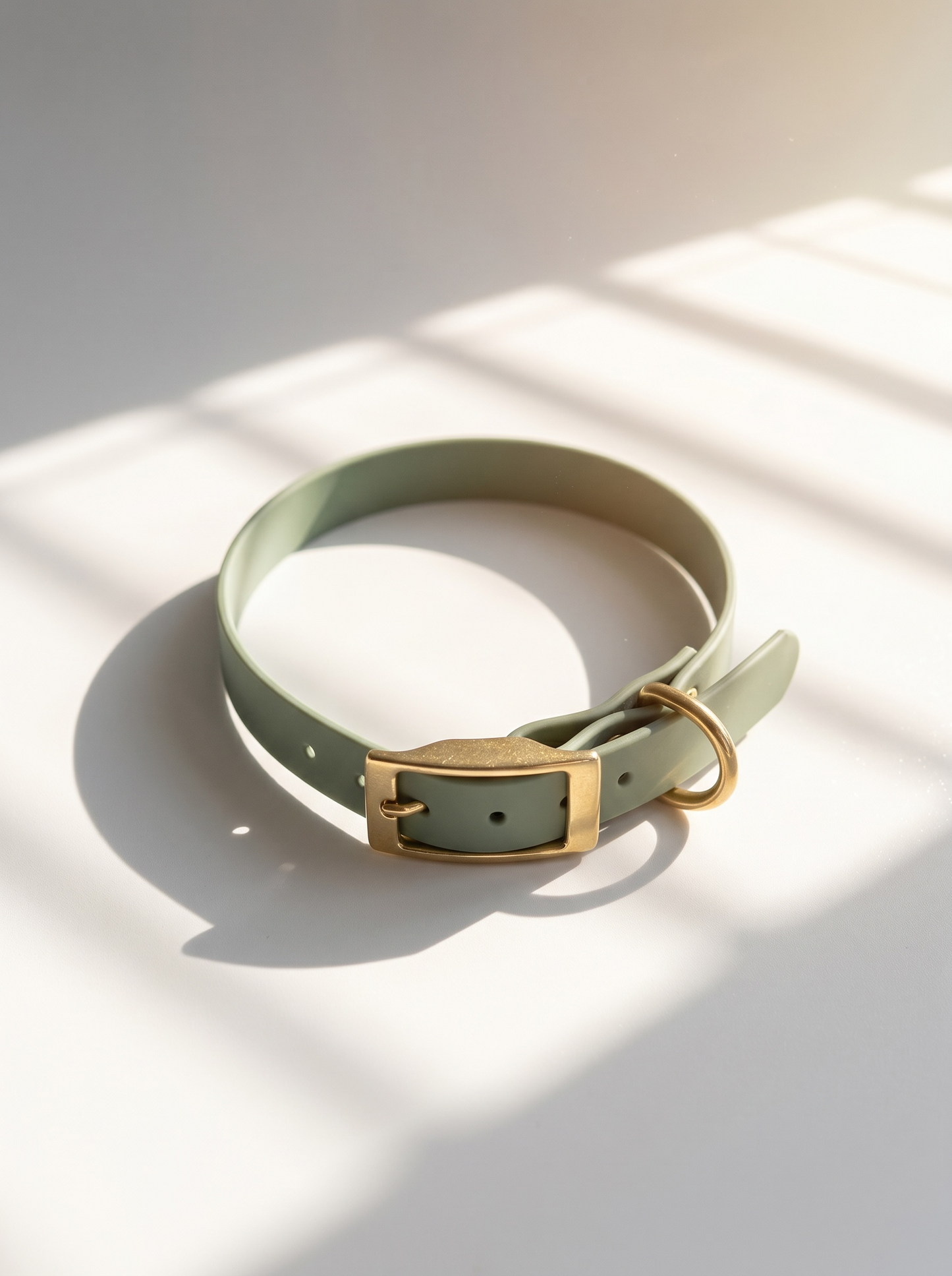 BioThane Halsband in foggy grün in verschiedenen Breiten mit goldenen Details. Ansicht Halsband von vorne mit Doppelstegschnalle und weißen Hintergrund 