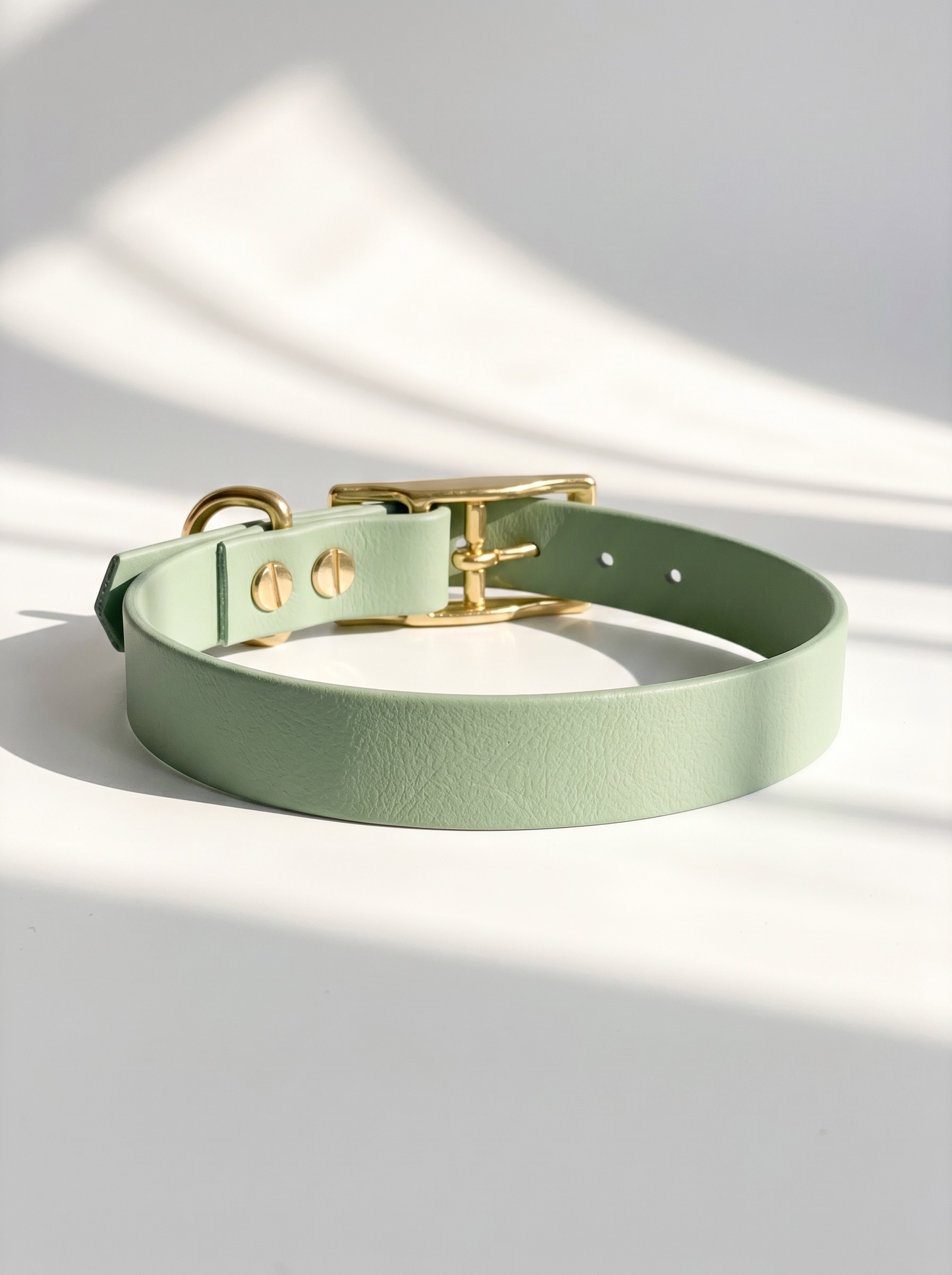 BioThane Halsband in foggy grün in verschiedenen Breiten mit goldenen Details. Ansicht Halsband Draufsicht mit weißen Hintergrund 