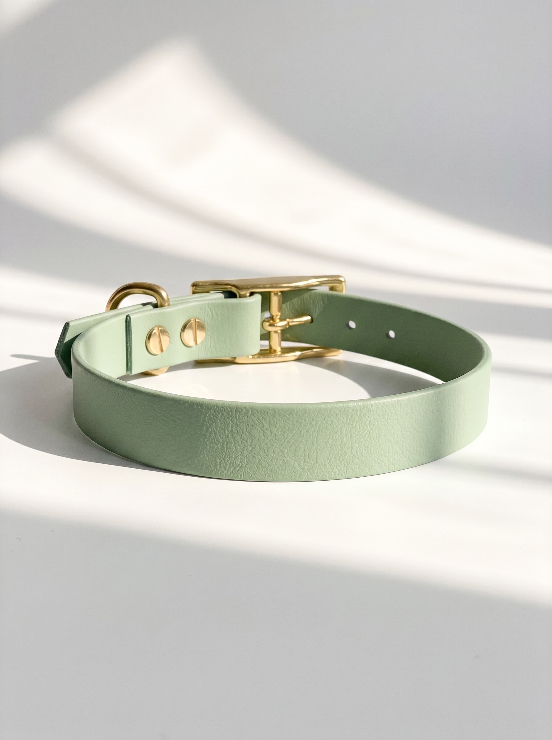 BioThane Halsband in foggy grün in verschiedenen Breiten mit goldenen Details. Ansicht Halsband Draufsicht mit weißen Hintergrund 