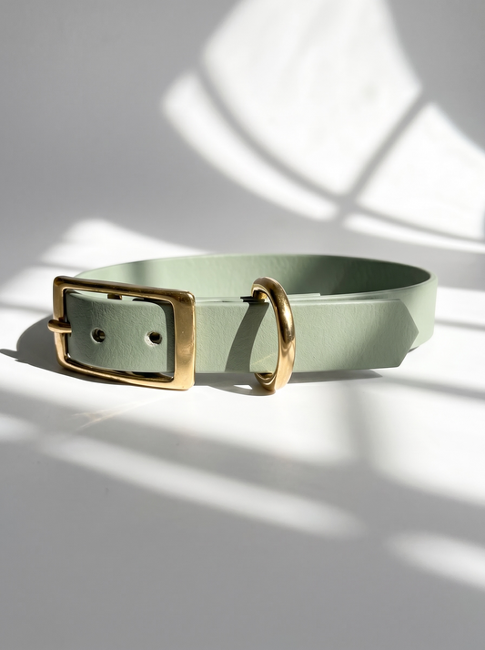 BioThane Halsband in foggy grün in verschiedenen Breiten mit goldenen Details. Ansicht Halsband von der Seite mit weißen Hintergrund 