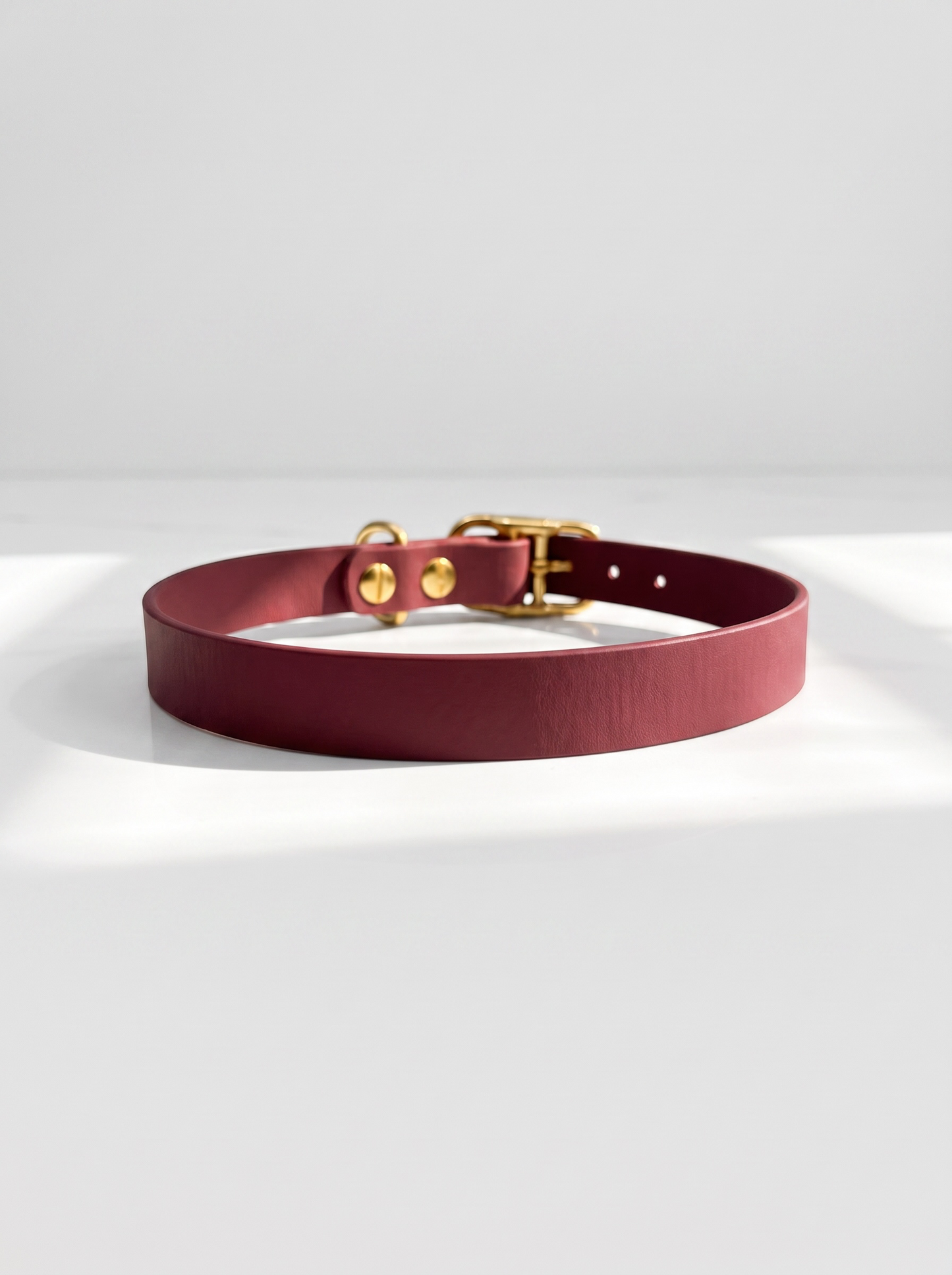 Hundehalsband in wine rot aus biothane. Mit goldenen Beschlägen aus Messing. Ansicht von hinten.