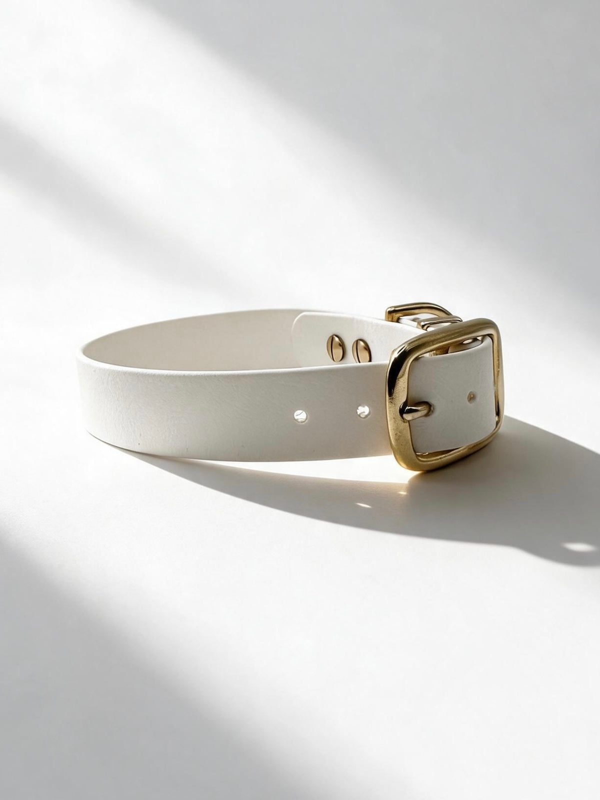 Hundehalsband aus BioThane in der Farbe Weiß mit golden Beschlägen aus Messing. Biothanehalsband Von der Seite 