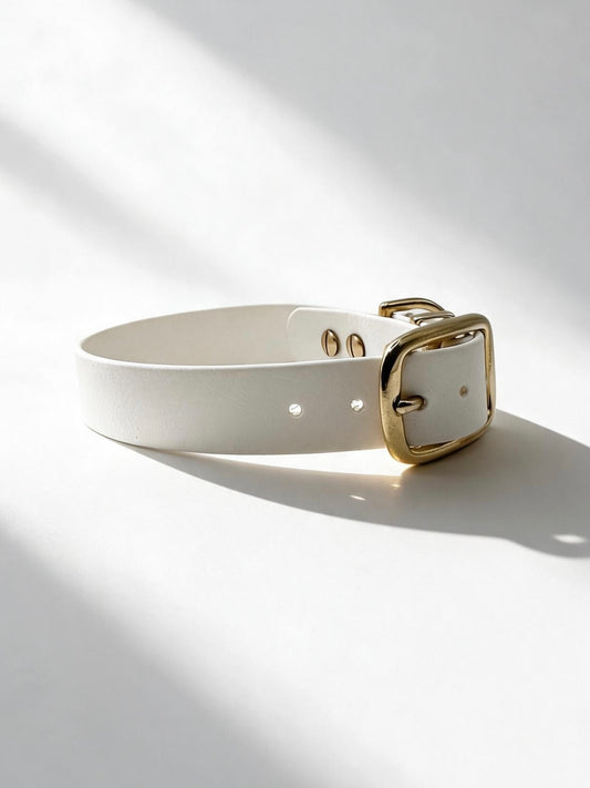 Hundehalsband aus BioThane in der Farbe Weiß mit golden Beschlägen aus Messing. Biothanehalsband Von der Seite 