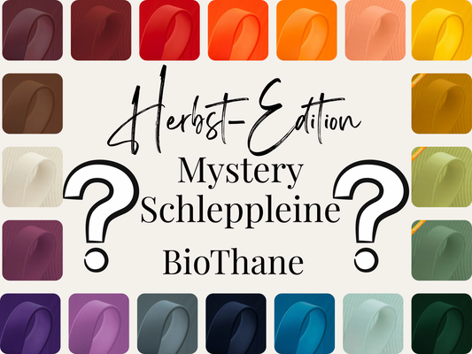 Mystery Schleppleine 13mm aus BioThane Wunschfarbe Herbst-Edition